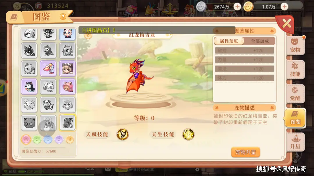永恒岛手游哪个职业最强_永恒岛手游宠物系统排行_红龙梅吉亚属性分析