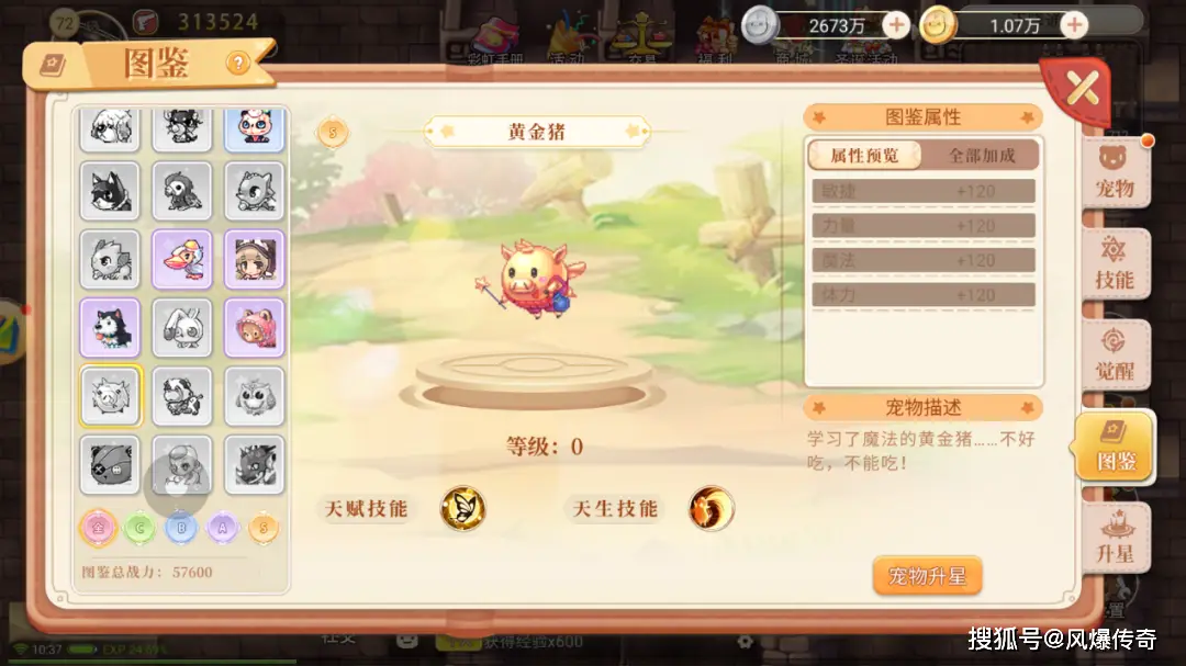 永恒岛手游哪个职业最强_永恒岛手游宠物系统排行_红龙梅吉亚属性分析