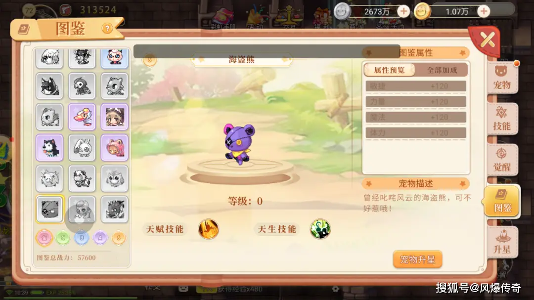 永恒岛手游宠物系统排行_红龙梅吉亚属性分析_永恒岛手游哪个职业最强