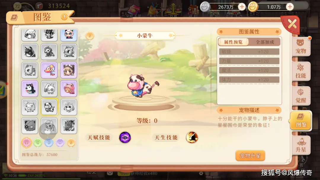 永恒岛手游宠物系统排行_红龙梅吉亚属性分析_永恒岛手游哪个职业最强
