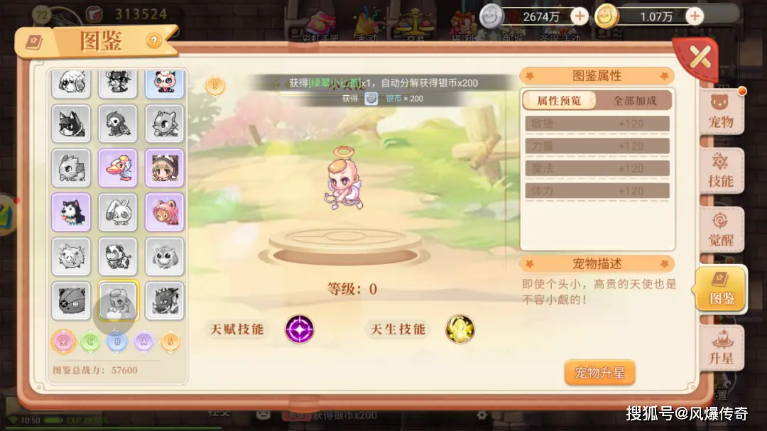 永恒岛手游哪个职业最强_红龙梅吉亚属性分析_永恒岛手游宠物系统排行