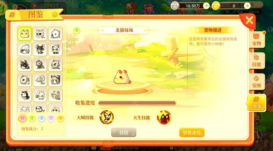 彩虹岛宠物技能等级对比_永恒岛手游宠物技能书_永恒岛彩虹回忆宠物升级