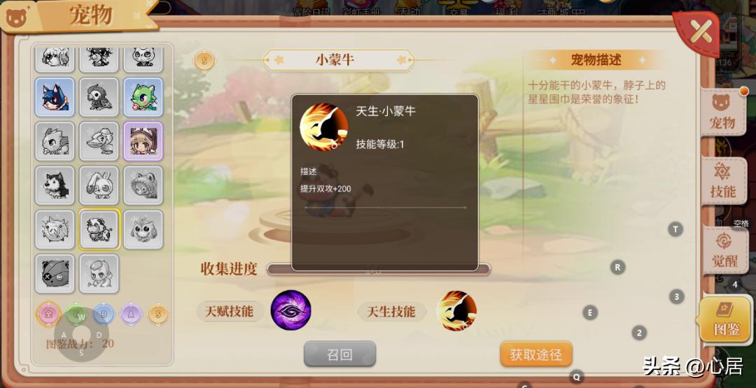 彩虹岛怀旧版怎么提升战力_彩虹岛战技值是什么_彩虹岛战场实力