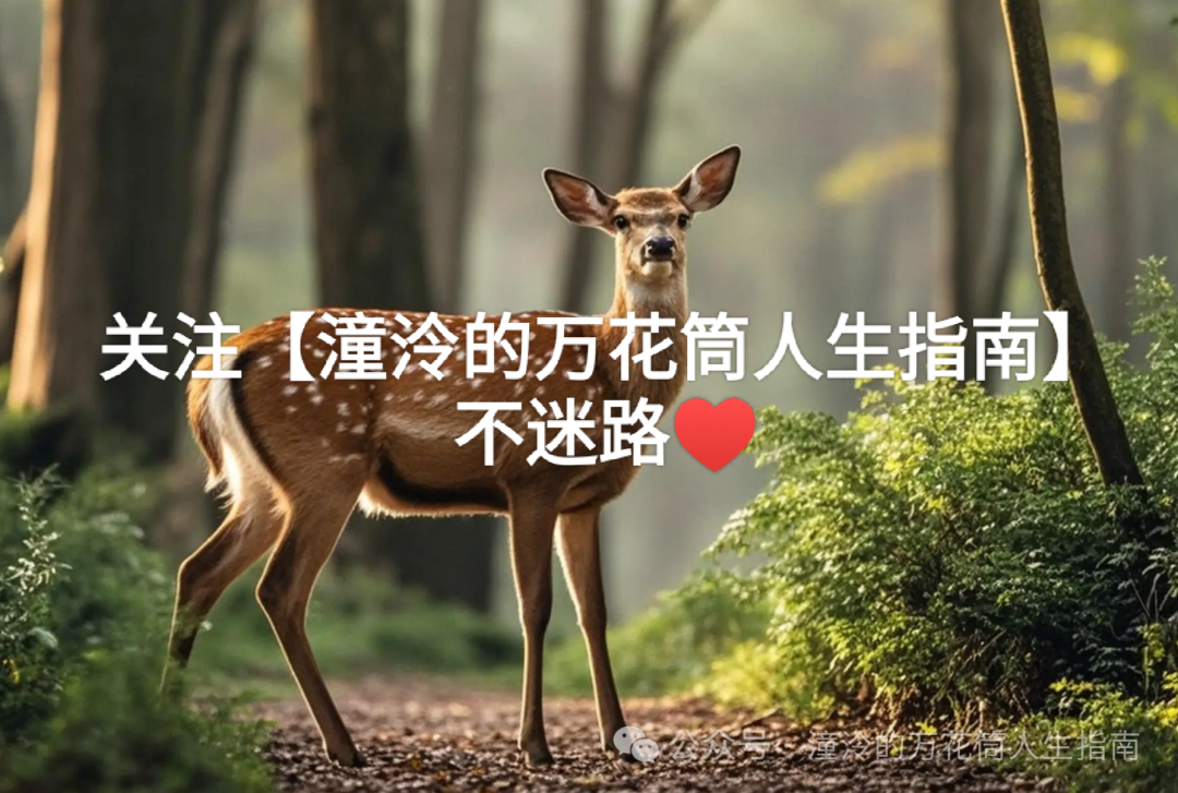 千年盛世之离火千年_离为火变乾为天_离为火变天火同人